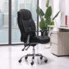 Velmora High Back Executive Chair