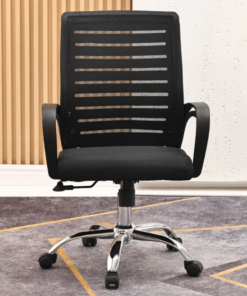 Zentra Low Back Mesh Office Chair