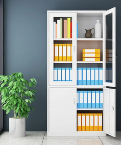 Half Glass Metallic Filling Cabinet