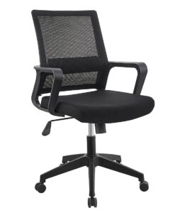 Nexora Low Back Mesh Office Chair