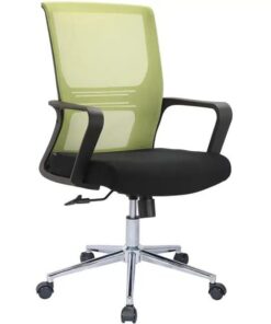 Corefit-Low Back Chair