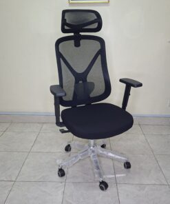 Ergonyx High Back Office Chair