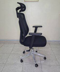 Ergonyx High Back Office Chair