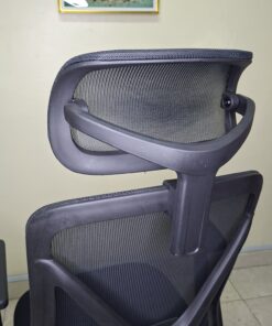 Ergonyx High Back Office Chair