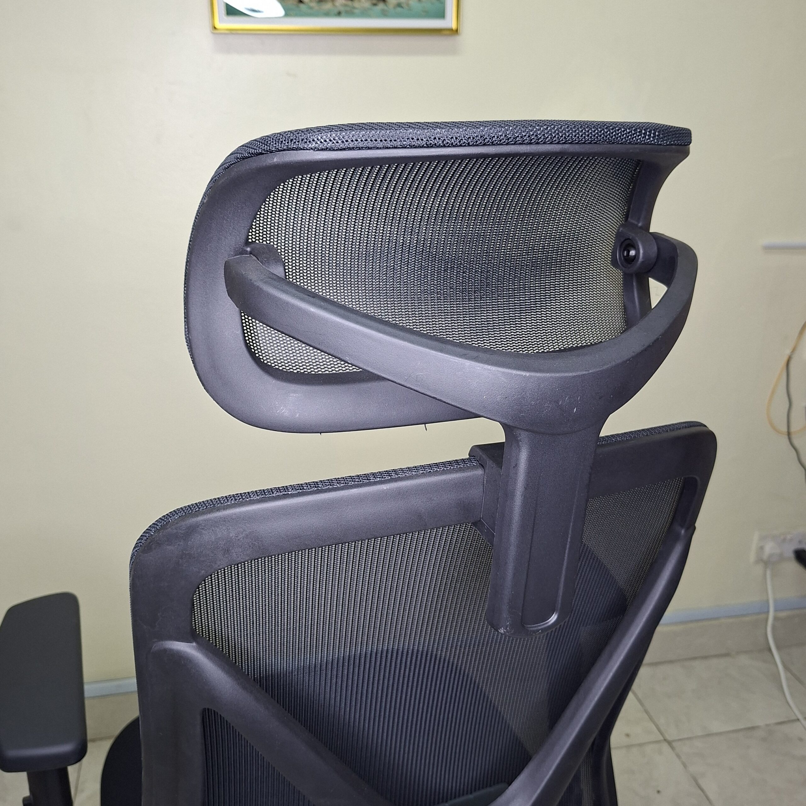 Ergonyx High Back Office Chair
