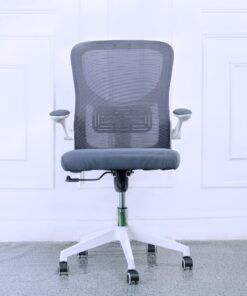 Averiq Low Back Mesh Chair